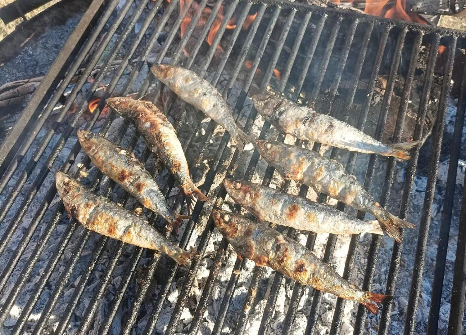 Çiftlik konaklama Masia Can Sunyer Agroturismo La Garriga İspanya